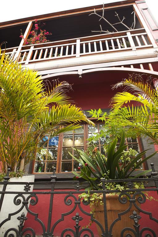 مبيت وإفطار كيب تاون Molo-Lolo House المظهر الخارجي الصورة